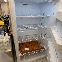 Fisherbrand Isotemp -20C Freezer image 1